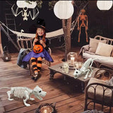 Halloween Animal Skeleton Bones Creepy Bat Mouse Lizard Decor Props
