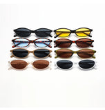 Women's Leopard Retro Oval Sunglasses Small Frame UV Eyewear