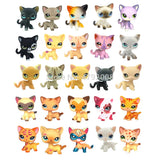 Rare pet toy Mini Stands Short Hair Kitten Old Figures Collection Original Bobble head toy lps