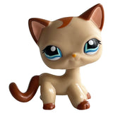 Rare pet toy Mini Stands Short Hair Kitten Old Figures Collection Original Bobble head toy lps