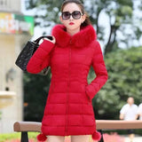 Slim Fur Hood Puffer Long Sleeve Down Winter Jacket, Coat for Women