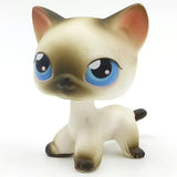 Rare pet toy Mini Stands Short Hair Kitten Old Figures Collection Original Bobble head toy lps