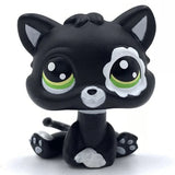 Rare pet toy Mini Stands Short Hair Kitten Old Figures Collection Original Bobble head toy lps