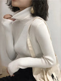 Women's High-Neck Knitted Turtleneck Slim-Fit Long-Sleeve Anti-pilling Casual Elegant Plain Sweater