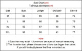 Women’s Y2K V-Neck Long Sleeve Sheer Slim Fit Top Summer