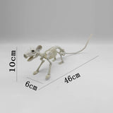 Halloween Animal Skeleton Bones Creepy Bat Mouse Lizard Decor Props