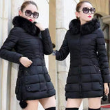 Slim Fur Hood Puffer Long Sleeve Down Winter Jacket, Coat for Women