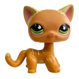 Rare pet toy Mini Stands Short Hair Kitten Old Figures Collection Original Bobble head toy lps