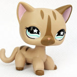 Rare pet toy Mini Stands Short Hair Kitten Old Figures Collection Original Bobble head toy lps