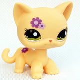 Rare pet toy Mini Stands Short Hair Kitten Old Figures Collection Original Bobble head toy lps