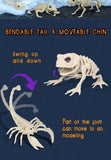 Halloween Animal Skeleton Bones Creepy Bat Mouse Lizard Decor Props