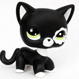 Rare pet toy Mini Stands Short Hair Kitten Old Figures Collection Original Bobble head toy lps