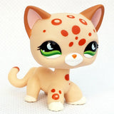 Rare pet toy Mini Stands Short Hair Kitten Old Figures Collection Original Bobble head toy lps