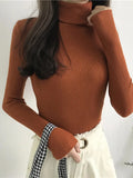 Women's High-Neck Knitted Turtleneck Slim-Fit Long-Sleeve Anti-pilling Casual Elegant Plain Sweater