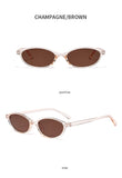 Women's Leopard Retro Oval Sunglasses Small Frame UV Eyewear
