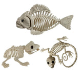 Halloween Animal Skeleton Bones Creepy Bat Mouse Lizard Decor Props