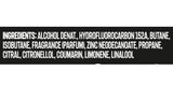 Axe Apollo Body Spray For Men Irresistibly Fresh Non-Stop 48H