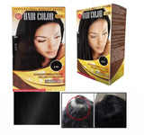 Women's Black Hair Color 