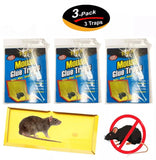 Mouse Glue Traps