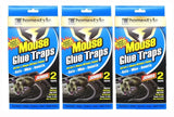 Mouse Traps Glue