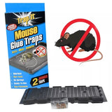 Mouse Traps Glue