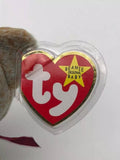 TY Beanie Baby - SIGNATURE BEAR 1999 (8.5 inch) Rare Errors -New