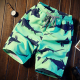 Men's summer quick-dry loose Beach pants