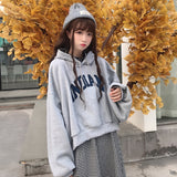 Women Hooded Oversize Thick Plus Velvet Loose False Two-piece Letter Print Hoodie