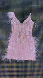 Pink Mini Feather V-neck Bodycon Night Club Party Dress