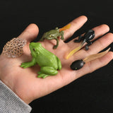 Simulation Animals Growth Life Cycle Models Figure Educational Toy