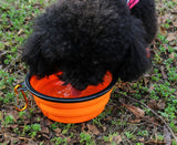 Travel Silicone Bowl Portable Foldable Collapsible Pet Bowl