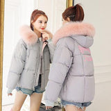 Brieuces Short Coats & Jackets Slim Women Parka Winter Fur Collar Hooded