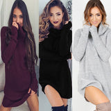 Winter Long Dress Women Turtleneck Sweaters Pullover