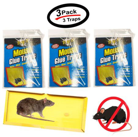 Mouse Glue Traps Humane Rat Mice Rodent Sticky Pad